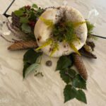 Energie-Mandala Homöopathietreffen