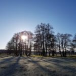 Wintersonne